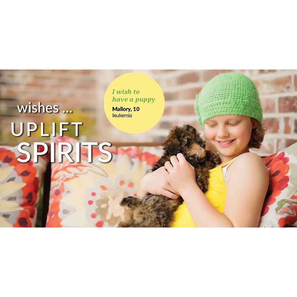 Ensemble de courtepointe réversible à imprimé lama cactus du sud-ouest de Lush Decor