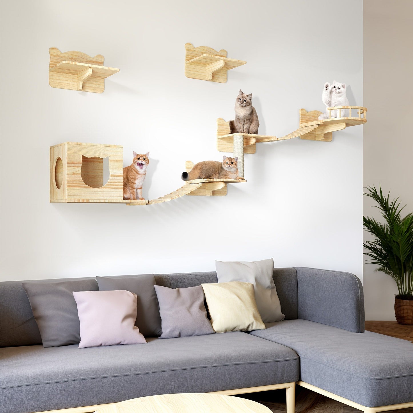 Ensemble d'étagères murales pour chat Moasis, ensemble d'escalade en bois pour chat.