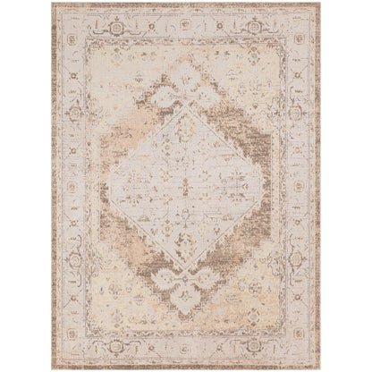 Tapis persan vieilli Nourison Abby, lavable en machine, pour intérieur uniquement.