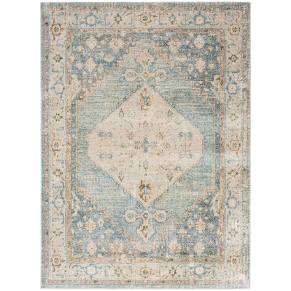 Tapis persan vieilli Nourison Abby, lavable en machine, pour intérieur uniquement.