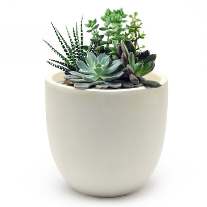 Tapered Round MgO Planter, Indoor and Outdoor
