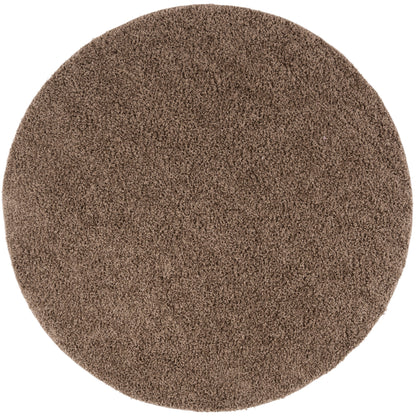 SAFAVIEH Tapis Athens Bharati Ilaha de 1,5 po d'épaisseur