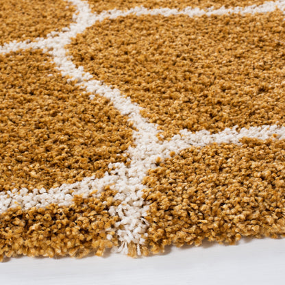 Tapis SAFAVIEH Hudson Shag Pushpa Trellis de 5 cm d'épaisseur