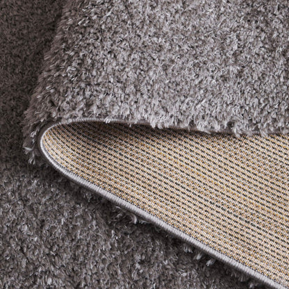 Tapis contemporain SAFAVIEH Lindsay Shag Luann