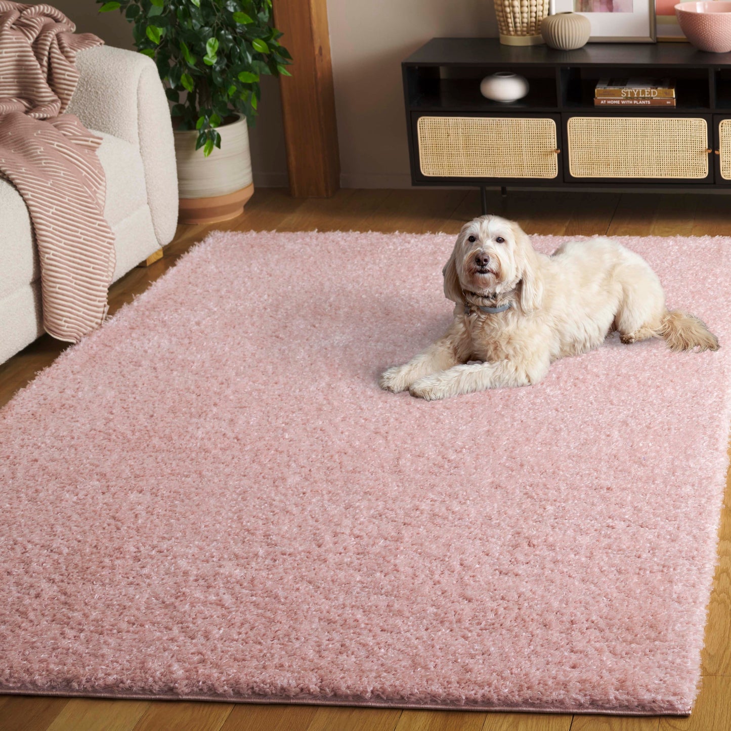 Tapis contemporain SAFAVIEH Lindsay Shag Luann