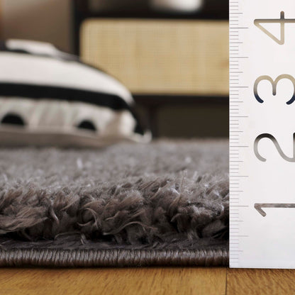 Tapis contemporain SAFAVIEH Lindsay Shag Luann