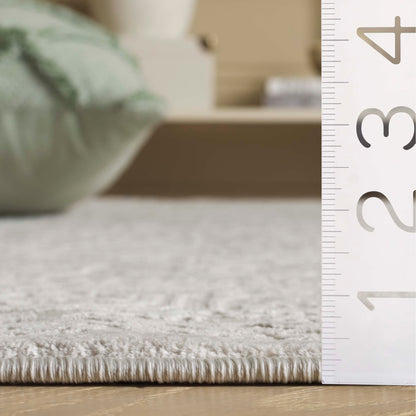 Tapis oriental SAFAVIEH Reflection Elzada