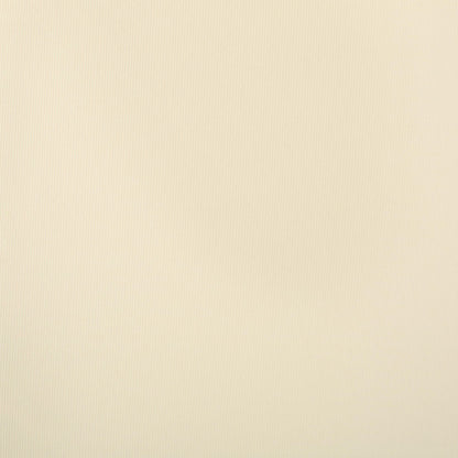 Ensemble de coussins d'extérieur Salem pour chaise longue - Coussins seulement (lot de 2) par Christopher Knight Home - 79,25 cm (L) x 27,50 cm (l) x 1,50 cm (H)