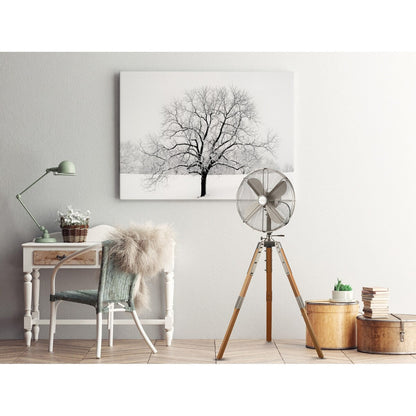 Ventilateur sur trépied Star Fans Star de 40 cm avec pieds en bois